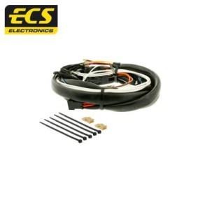 Acquista Kit elettrico per gancio traino da ECS online per CARNIVAL / GRAND CARNIVAL III (VQ) a prezzi moderati
