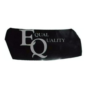Acquista Cofano da EQUAL QUALITY online per i20 (PB, PBT) a prezzi moderati