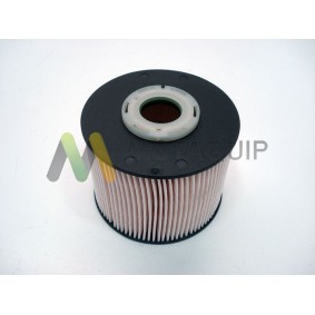 Acquista Filtro carburante da MOTAQUIP LVFF691 a buon mercato per soli 27,07 €