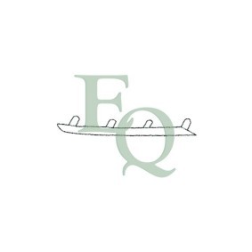 Zier- / Schutzleiste, Kühlergitter M1260 von EQUAL QUALITY günstig für 16,05 € online kaufen