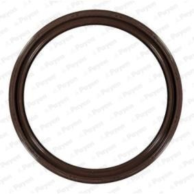 Comprar Anillo retén, cigüeñal de PAYEN NK169 a bajo precio de 16,41 €