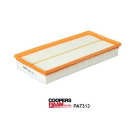 Acquista Filtro aria da COOPERSFIAAM FILTERS PA7313 a buon mercato per soli 19,20 €