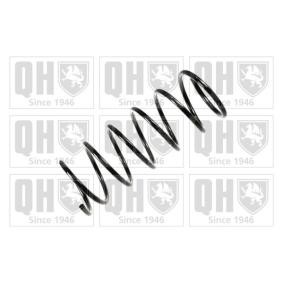 Compre Molas de QUINTON HAZELL online para C15 (VD-_) a preços moderados