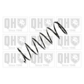 Compre Molas de QUINTON HAZELL online para C15 (VD-_) a preços moderados