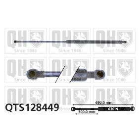 Heckklappendämpfer QTS128449 von QUINTON HAZELL günstig für 19,02 € online kaufen