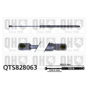 Heckklappendämpfer QTS828063 von QUINTON HAZELL günstig für 34,74 € online kaufen