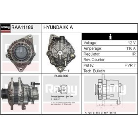 Lichtmaschine RAA11186 von DELCO REMY günstig für 226,45 € online kaufen