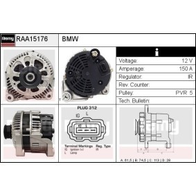 Lichtmaschine RAA15176 von DELCO REMY günstig für 176,56 € online kaufen