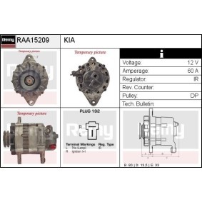 Lichtmaschine RAA15209 von DELCO REMY günstig für 165,61 € online kaufen