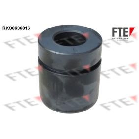 Compre Êmbolo, pinça do travão da FTE RKS8636016 a um preço baixo por 24,83 €