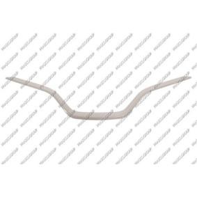 Acquista Modanatura decorativa / protettiva, Griglia radiatore da PRASCO RN7002206 a buon mercato per soli 44,22 €