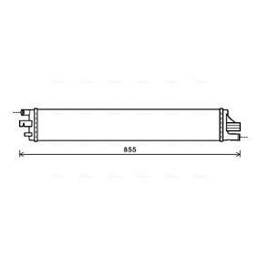 Achetez des Radiateur de chez AVA COOLING SYSTEMS en ligne pour Interstar Van (X62B) à prix modérés
