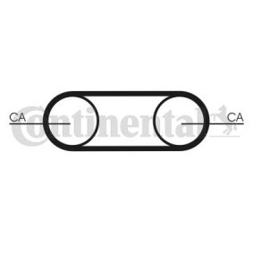 Comprar Correa dentada de CONTITECH CT1112 a bajo precio de 57,80 €