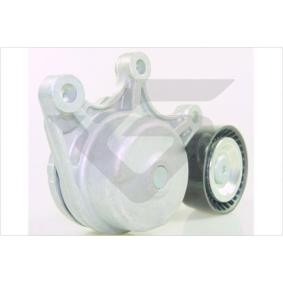 Achetez des Poulie, tendeur de courroie d'accessoire HUTCHINSON T0478 à prix pour 93,92 €