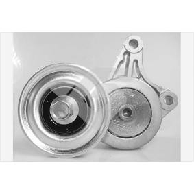 Achetez des Poulie, tendeur de courroie d'accessoire HUTCHINSON T0488 à prix pour 149,57 €