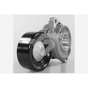 Achetez des Poulie, tendeur de courroie d'accessoire HUTCHINSON T0489 à prix pour 176,69 €