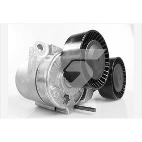 Achetez des Poulie, tendeur de courroie d'accessoire HUTCHINSON T0553 à prix pour 94,51 €