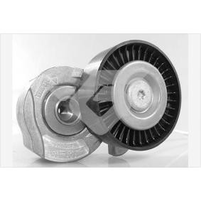 Achetez des Poulie, tendeur de courroie d'accessoire HUTCHINSON T0554 à prix pour 99,28 €