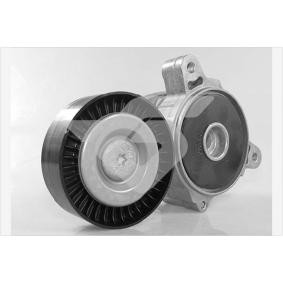 Acquista Rullo tenditore cinghia Poly-V da HUTCHINSON T0560 a buon mercato per soli 77,04 €