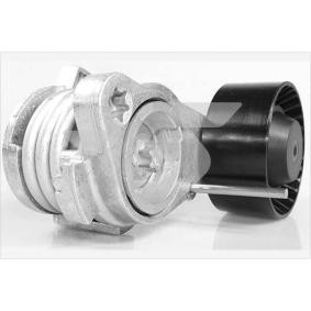 Achetez des Poulie, tendeur de courroie d'accessoire HUTCHINSON T0569 à prix pour 101,70 €