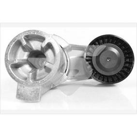 Achetez des Poulie, tendeur de courroie d'accessoire HUTCHINSON T0570 à prix pour 106,22 €