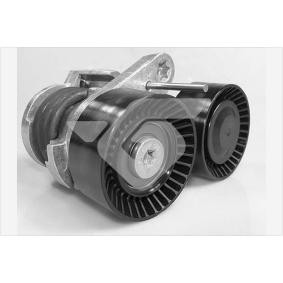 Achetez des Poulie, tendeur de courroie d'accessoire HUTCHINSON T0589 à prix pour 94,80 €