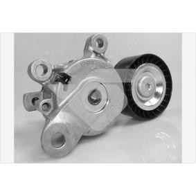 Acquista Rullo tenditore cinghia Poly-V da HUTCHINSON T0633 a buon mercato per soli 75,66 €