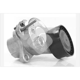 Achetez des Poulie, tendeur de courroie d'accessoire HUTCHINSON T0695 à prix pour 90,51 €