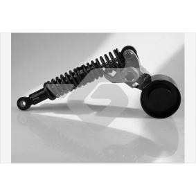 Achetez des Poulie, tendeur de courroie d'accessoire HUTCHINSON T3077 à prix pour 454,54 €