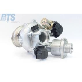 Köp Turboaggregat av BTS TURBO T916176 till det låga priset 18544,31 kr