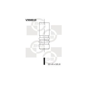 Acquista Valvola di scarico da BGA V998919 a buon mercato per soli 9,52 €