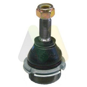 Compre Rótula de suspensão da MOTAQUIP VSJ591 a um preço baixo por 24,56 €