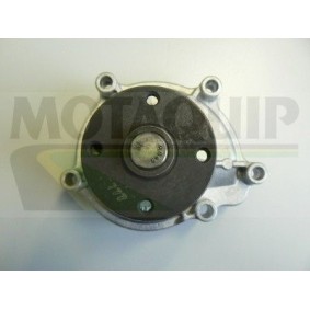 Acquista Pompa acqua da MOTAQUIP VWP853 a buon mercato per soli 54,30 €