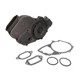 Compre Bomba de água da THERMOTEC WP-ME128 a um preço baixo por 107,19 €