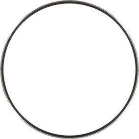 Comprar Anillo de rodadura, cigüeñal de GLASER X59556-01 a bajo precio de 27,56 €