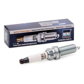 Acquista Candele da BERU online per Bluebird Sylphy Sedan III (B17) a prezzi moderati