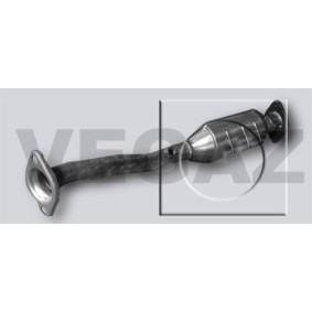Katalysator DK-982 von VEGAZ günstig für 307,21 € online kaufen