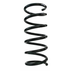 Fahrwerksfeder 87571 von SPIDAN günstig für 76,61 € online kaufen