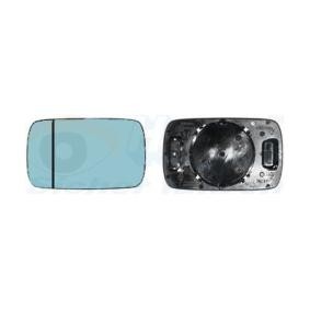 Spiegelglas, Außenspiegel 0640833 von VAN WEZEL günstig für 16,12 € online kaufen