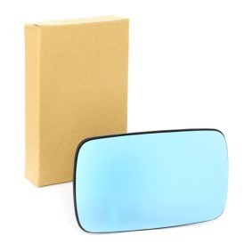 Spiegelglas, Außenspiegel 0646838 von VAN WEZEL günstig für 24,69 € online kaufen
