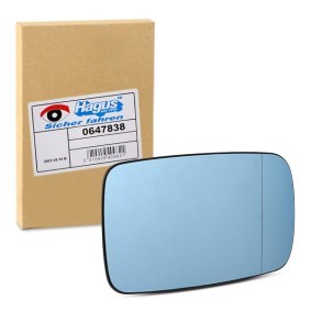 Spiegelglas, Außenspiegel 0647838 von VAN WEZEL günstig für 18,30 € online kaufen