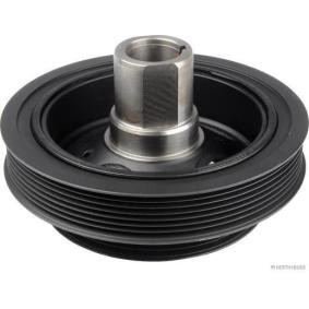 Acquista Puleggia albero motore da HERTH+BUSS JAKOPARTS online per Cabstar (F24M, F24W) a prezzi moderati