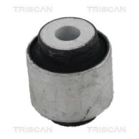 Compre Suspensão, braço oscilante da TRISCAN 8500 23822 a um preço baixo por 12,43 €