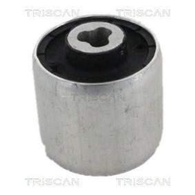Compre Suspensão, braço oscilante da TRISCAN 8500 23899 a um preço baixo por 30,93 €