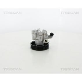 Compre Bomba de direção da TRISCAN 8515 21605 a um preço baixo por 297,48 €