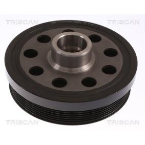 Compre Polia, cambota da TRISCAN 8643 10020 a um preço baixo por 231,35 €
