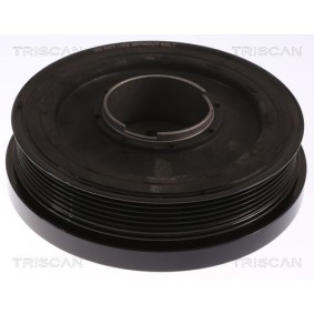Achetez des Poulie damper (vilebrequin) TRISCAN 8643 11010 à prix pour 328,92 €
