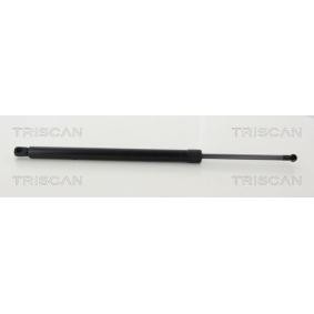 Heckklappendämpfer 8710 13293 von TRISCAN günstig für 33,61 € online kaufen