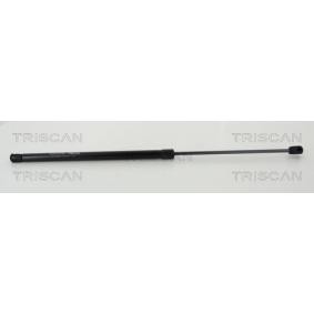 Heckklappendämpfer 8710 14255 von TRISCAN günstig für 35,00 € online kaufen