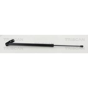 Heckklappendämpfer 8710 14258 von TRISCAN günstig für 36,95 € online kaufen